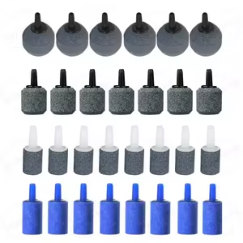 Hava Daşı,1 ədəd - Balıqlar | Zoo28.az