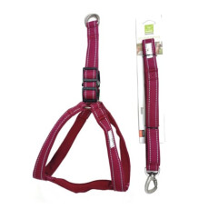 Sinəlik + Qayış Nunbell 2503-38 - İtlər