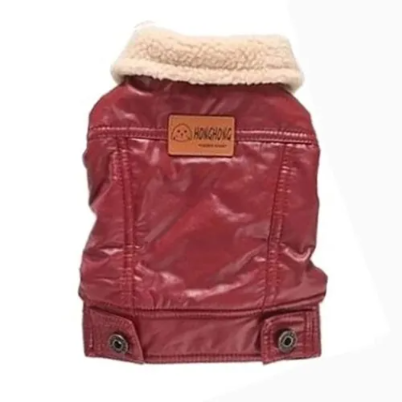 HongHong 140 Gödəkçə Q - İtlər | Zoo28.az