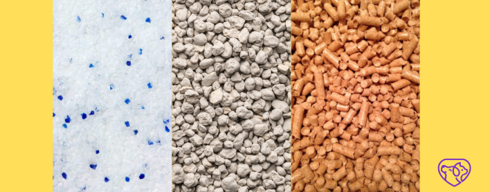 Pişik Qumu Necə Seçilir? Topaqlaşan vs Topaqlaşmayan Müqayisə