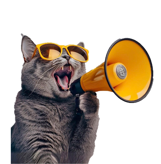 10% Endirim Hədiyyə