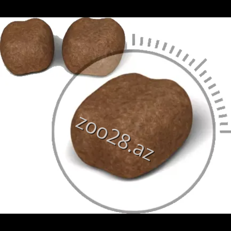 Royal Canin Dental Care Yetkin Pişiklər Üçün, 1 kq - Pişiklər - Şəkil 2