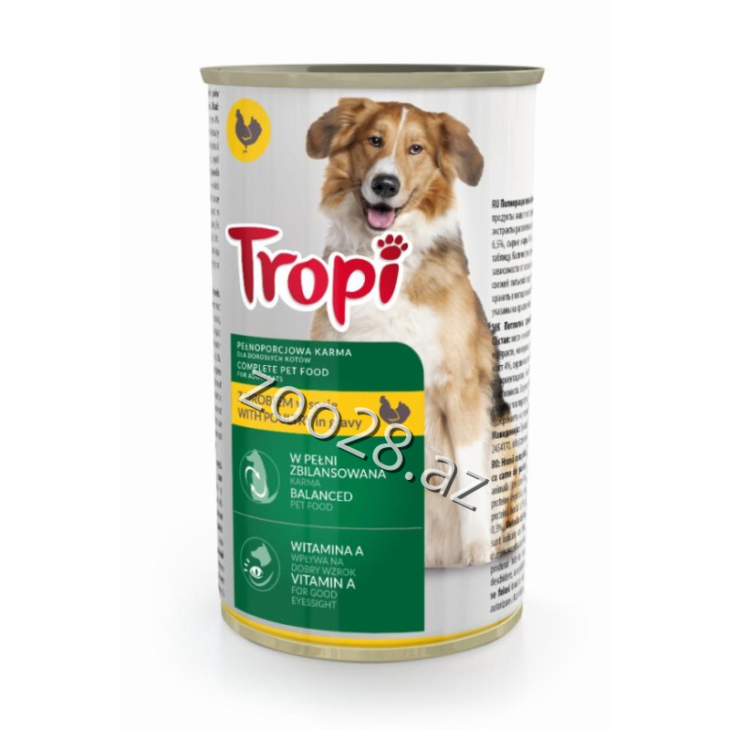 Tropi Yetkin İtlər Üçün Toyuq Əti İlə - İtlər - Şəkil 2