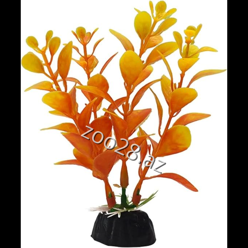 Süni Bitki - Balıqlar | Zoo28.az