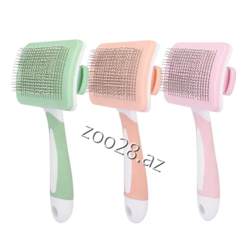 YinGT Daraq - Pişiklər - Şəkil 2