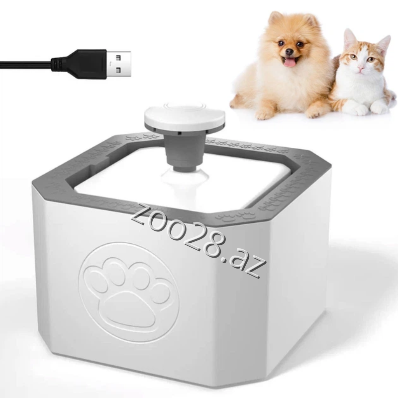 Fontan A 18 - Pişiklər | Zoo28.az