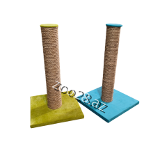 Dırnaqyonan T1 - Pişiklər