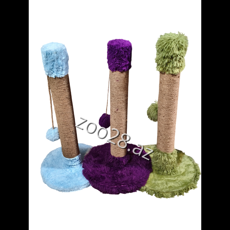 Dırnaqyonan 80SM - Pişiklər | Zoo28.az