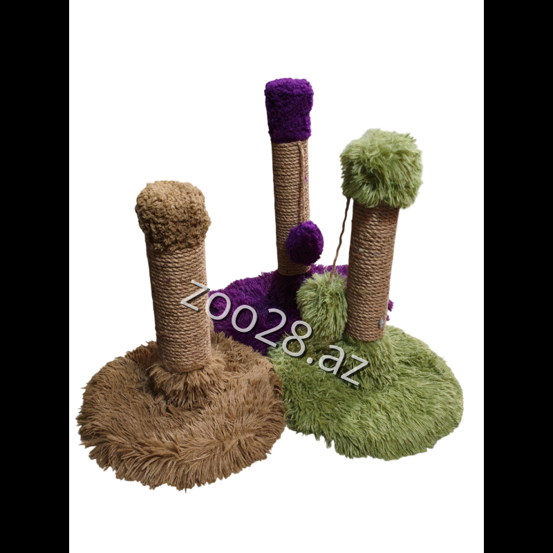 Dırnaqyonan TT - Pişiklər | Zoo28.az