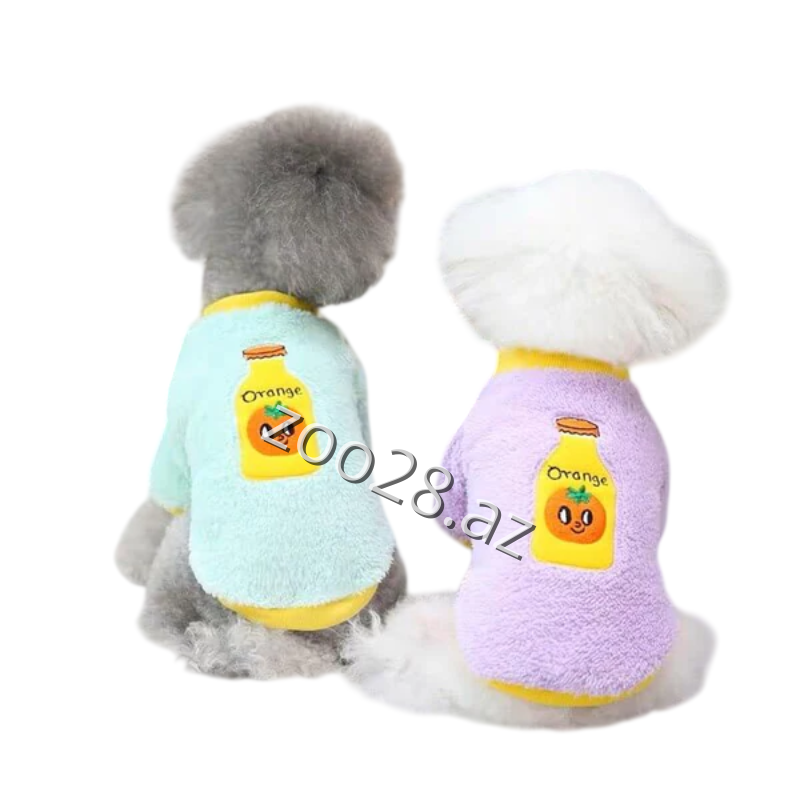 Orange Sviter 1 - İtlər - Şəkil 2