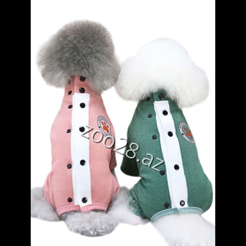 Dadagou P23 - İtlər | Zoo28.az