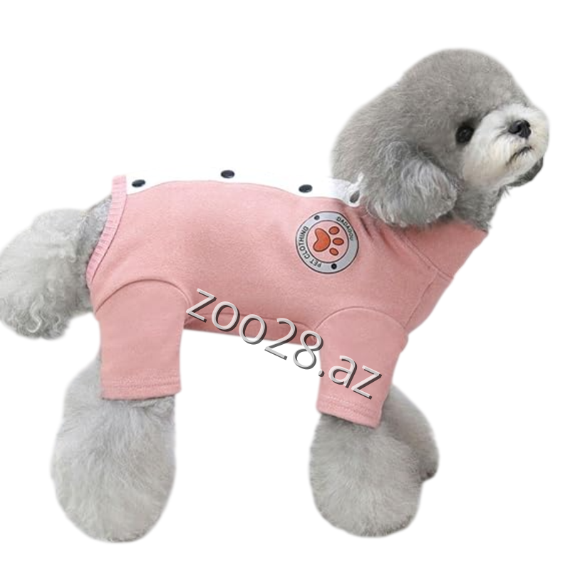 Dadagou P23 - İtlər - Şəkil 2