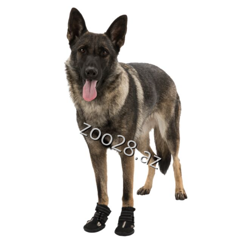 Trixie Ayaqqabı - İtlər - Şəkil 2