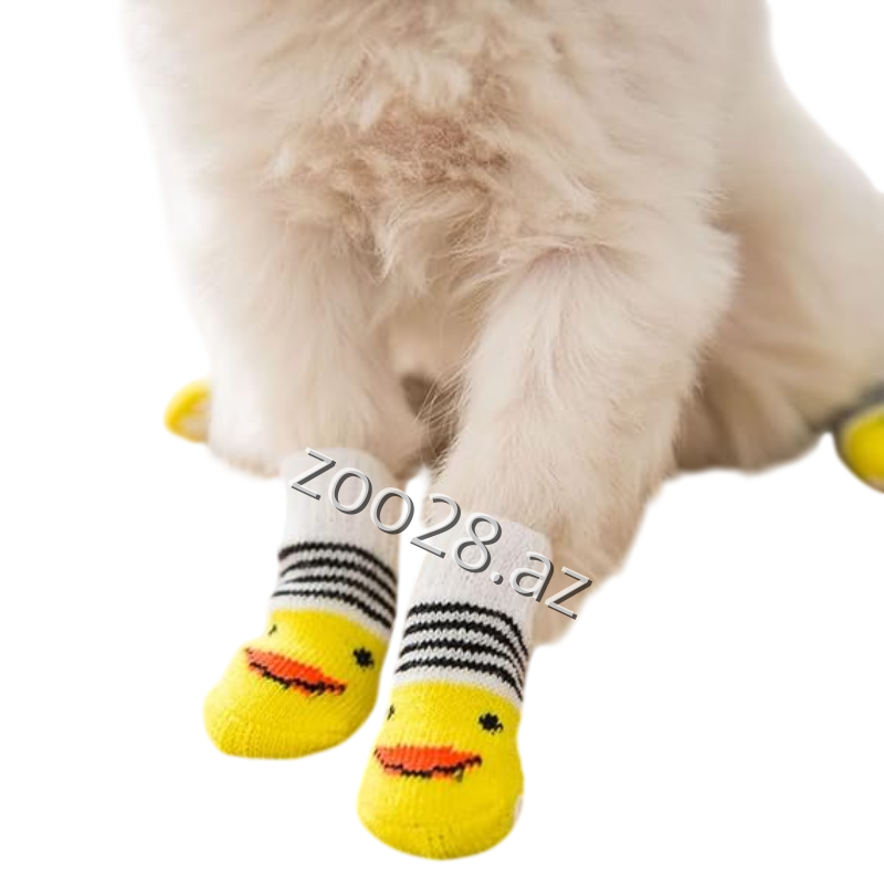 Corab İtlər Üçün - İtlər | Zoo28.az