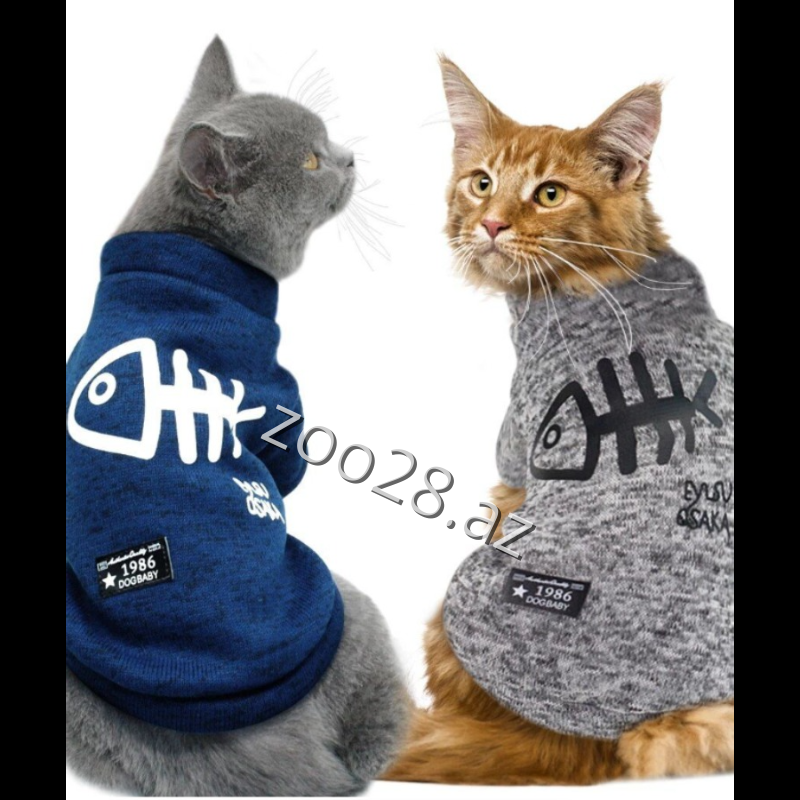 DogBaby Fish P6 - İtlər - Şəkil 3