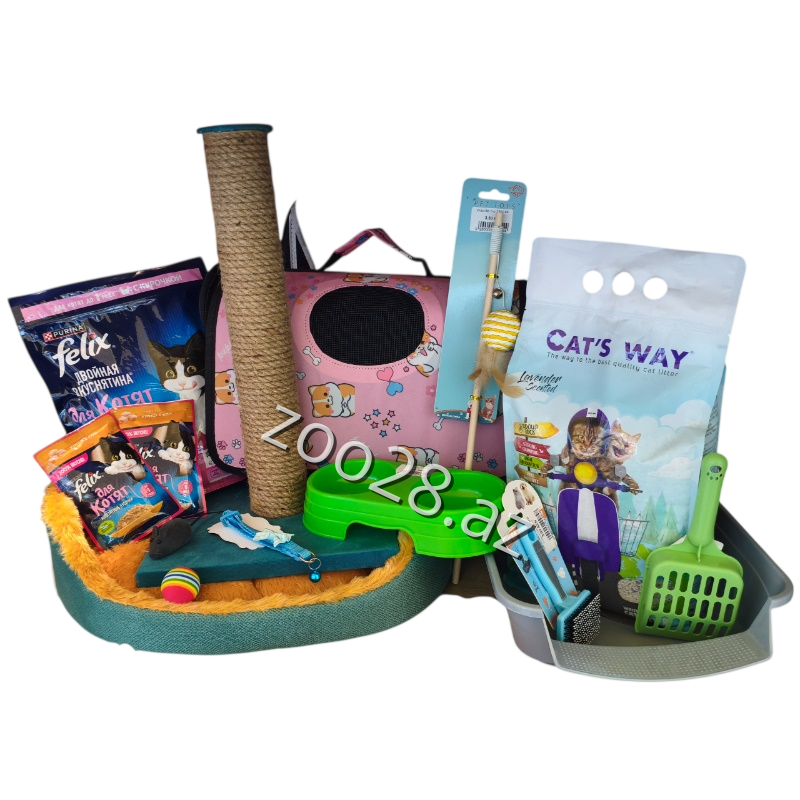 Bala Pişik Üçün Komplekt - Pişiklər | Zoo28.az