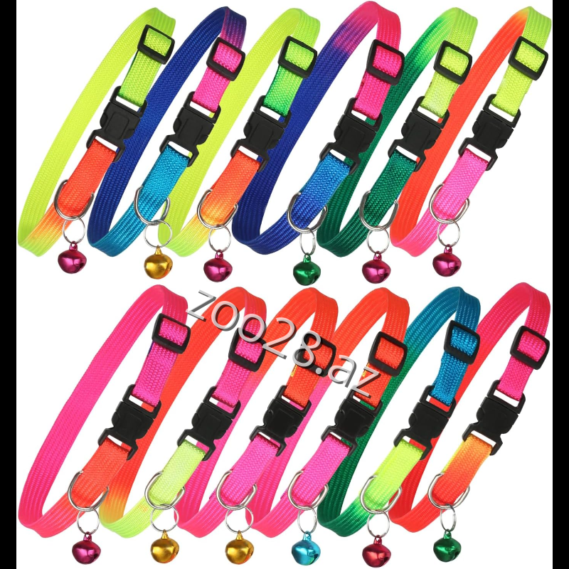 Xalta Göyqurşağı - İtlər | Zoo28.az