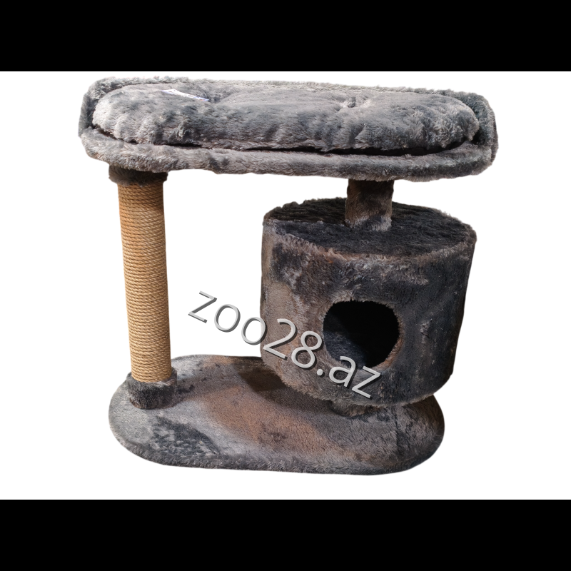 Zoo Mir Kompleks Sweet 1215 - Pişiklər | Zoo28.az