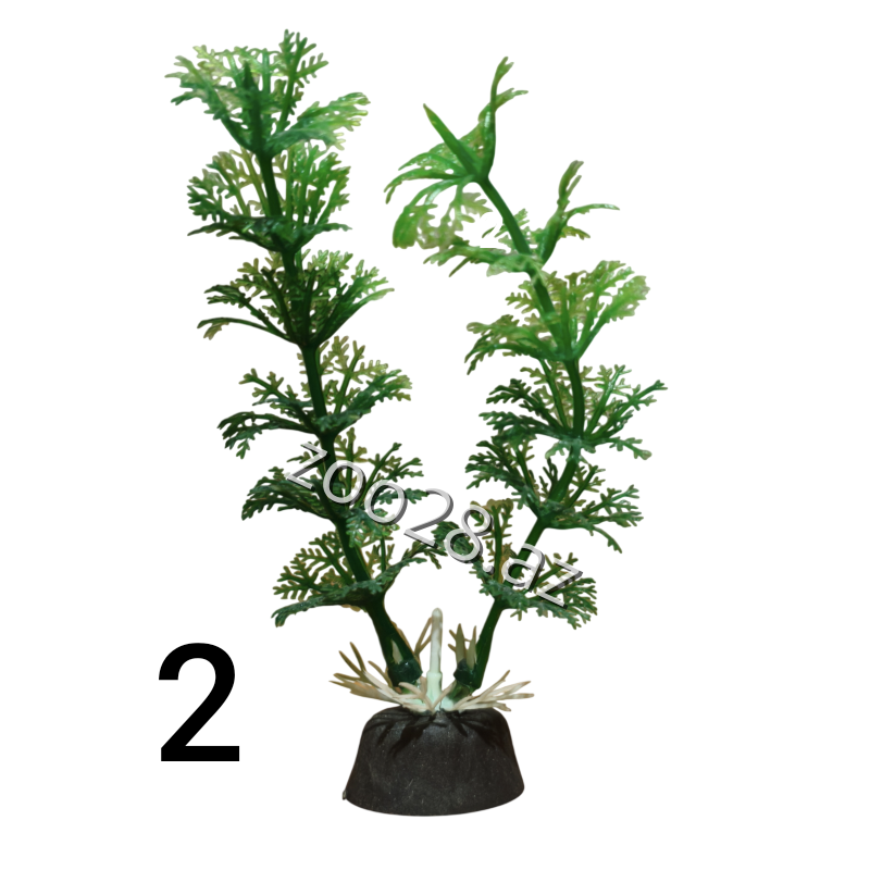 Süni Bitki - Balıqlar - Şəkil 2