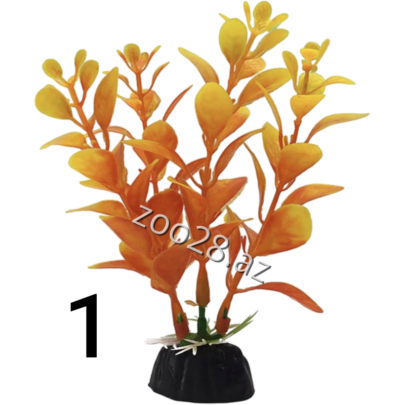 Süni Bitki - Balıqlar | Zoo28.az