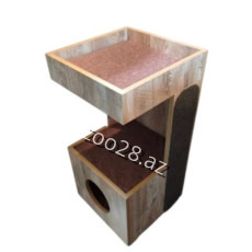 Zoo Mir Kompleks Yuva Taxta - Pişiklər