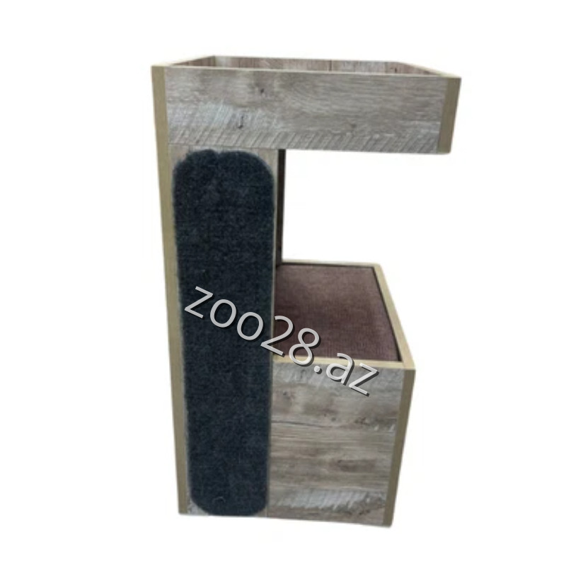 Zoo Mir Kompleks Yuva Taxta - Pişiklər - Şəkil 2