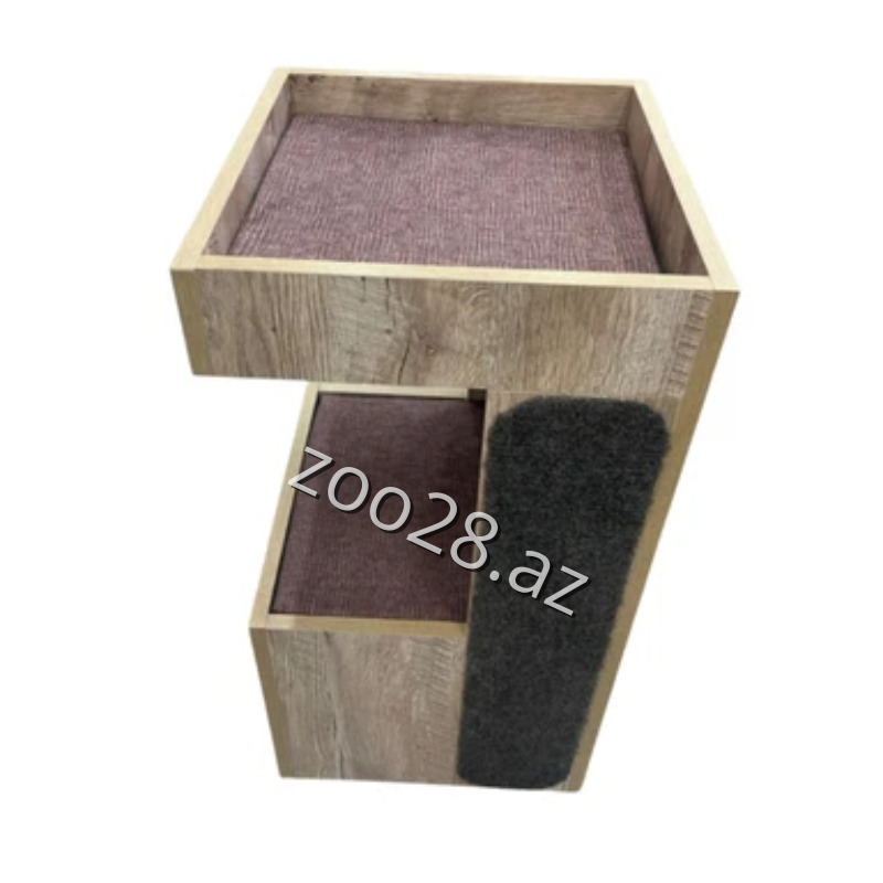 Zoo Mir Kompleks Yuva Taxta - Pişiklər - Şəkil 3