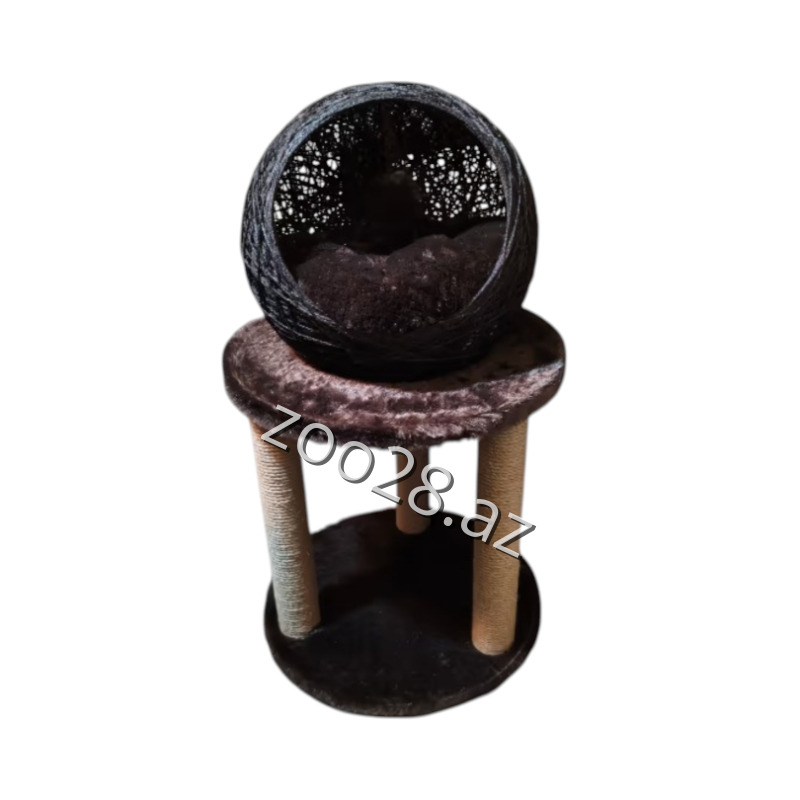 Zoo Mir Kompleks Yuva - Pişiklər | Zoo28.az