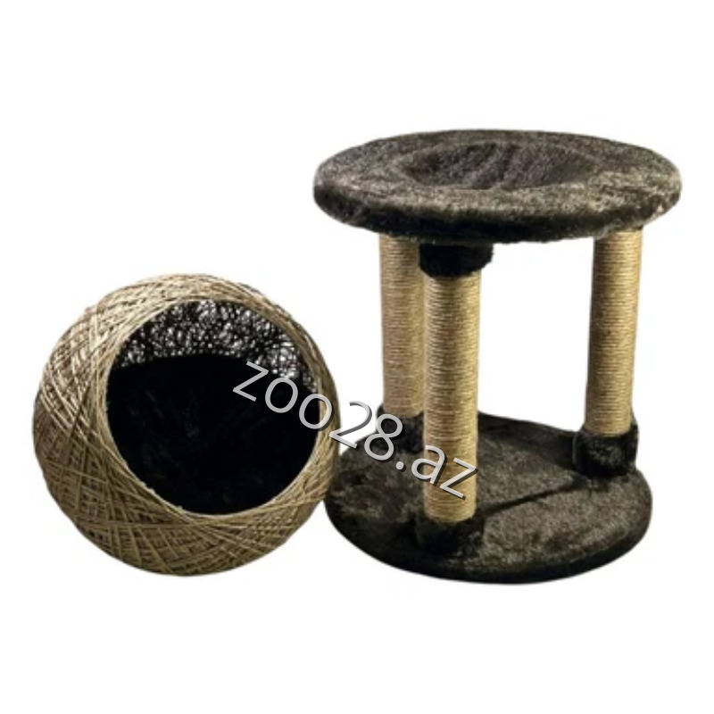 Zoo Mir Kompleks Yuva - Pişiklər - Şəkil 3