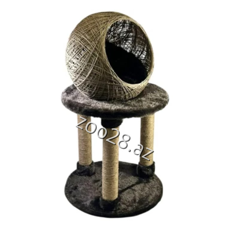 Zoo Mir Kompleks Yuva - Pişiklər - Şəkil 2