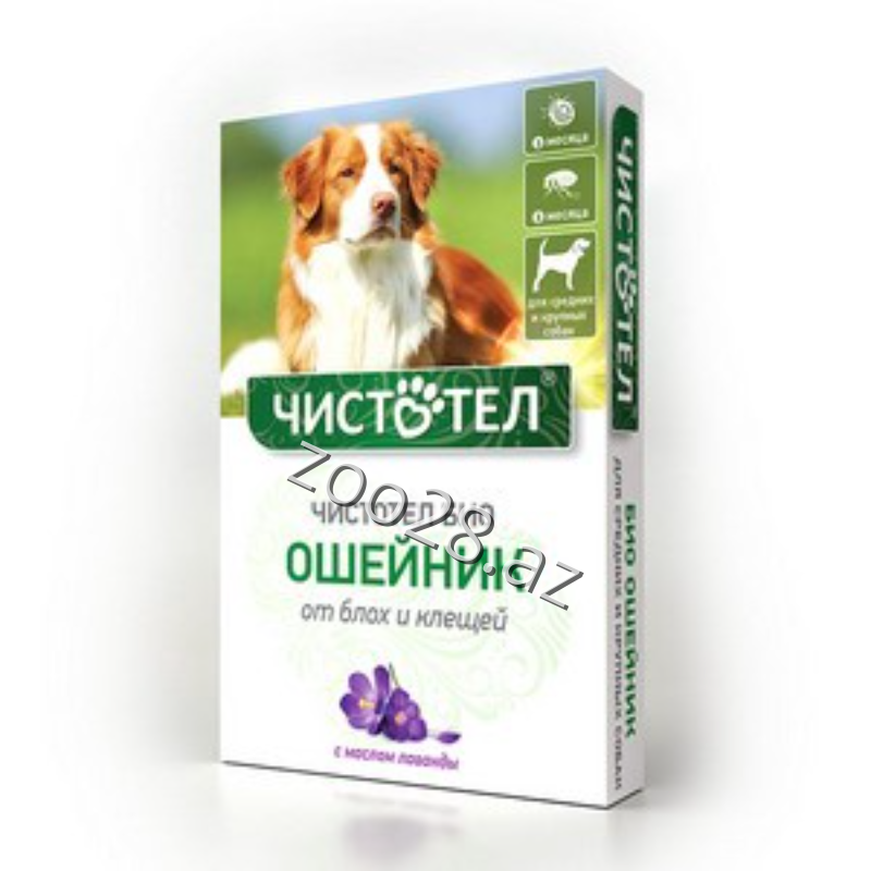 Çistotel Orta və Böyük Cins İtlər Üçün Antiparazit Xalta - Baytarlıq | Zoo28.az
