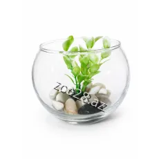 Mini Akvarium - Balıqlar