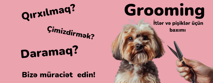 ✂️ İtlər və pişiklər üçün peşəkar grooming
