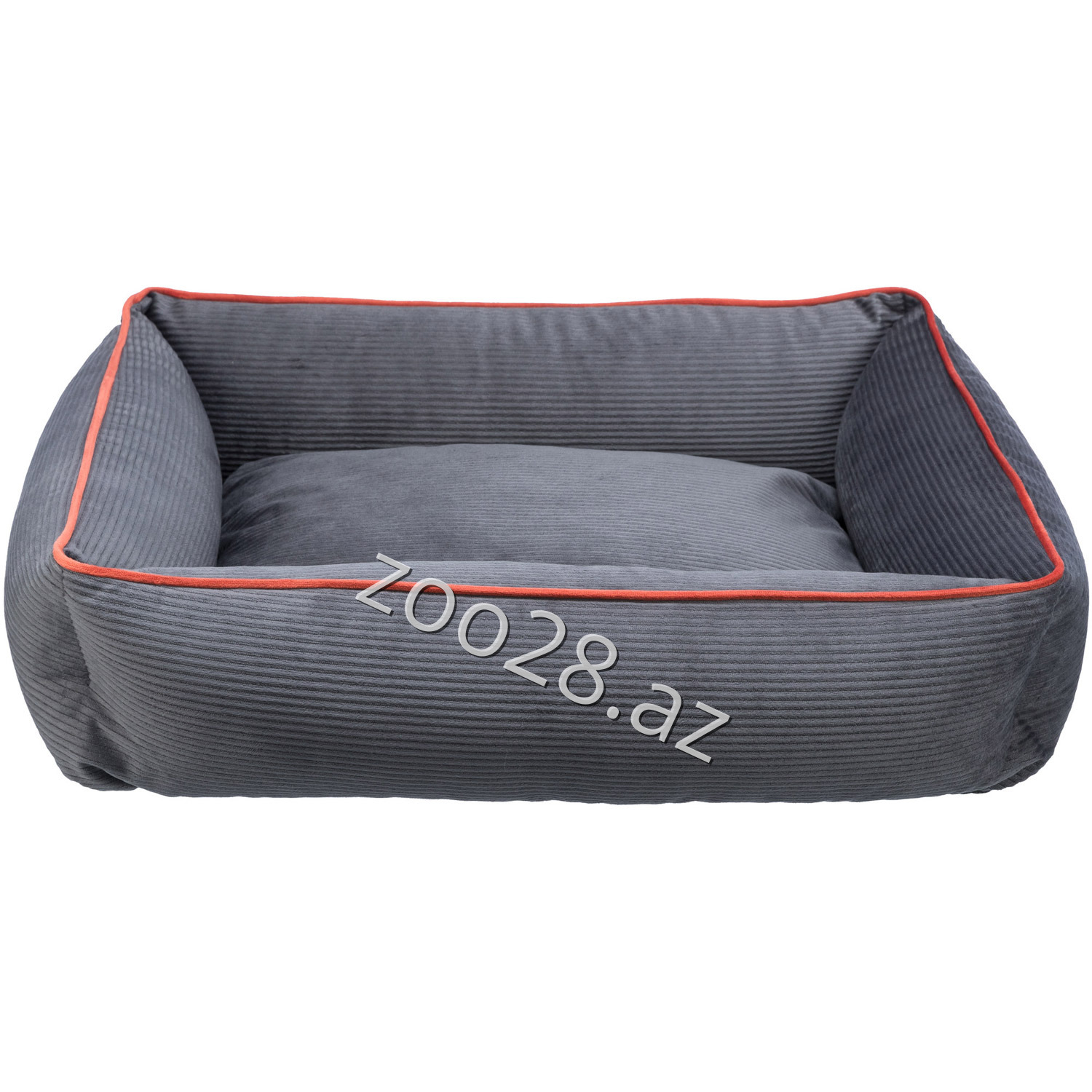Trixie Yataq "Romy" 37668 - İtlər - Şəkil 2