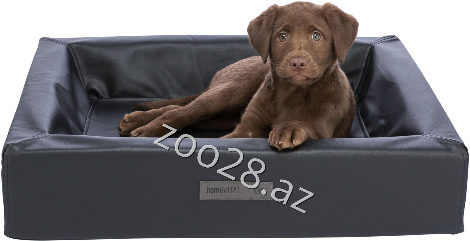 Trixie Yataq "Remo" 38299 - İtlər - Şəkil 2