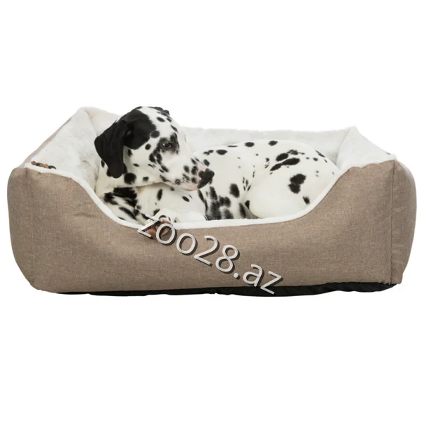 Trixie Yataq "Nelli" 37289 - İtlər - Şəkil 2