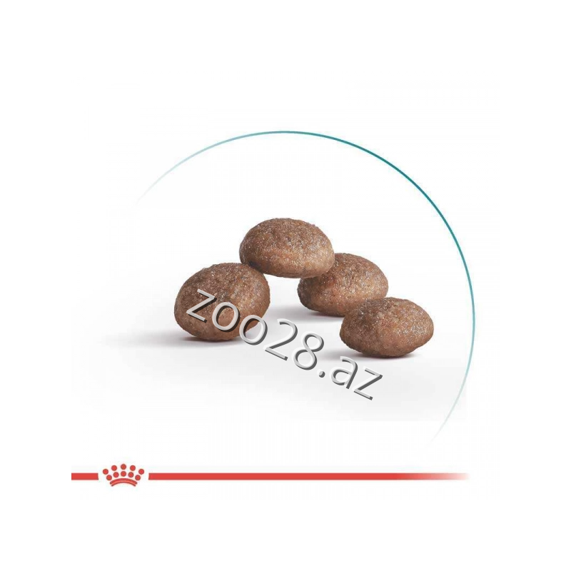 Royal Canin Ageing 12+ Yaşlı Pişiklər Üçün,400 qr - Pişiklər - Şəkil 2