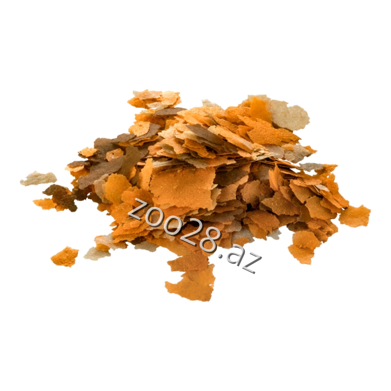 Tetra Rubin Flakes - Balıqlar - Şəkil 2