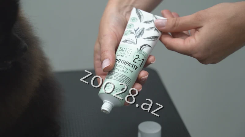 Tauro Toothpaste 100ml - Pişiklər - Şəkil 2