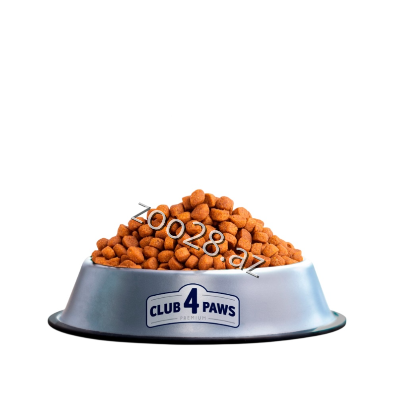 Club 4 Paws İndoor Quzu Əti İlə Yetkin Pişiklər Üçün - Pişiklər - Şəkil 2