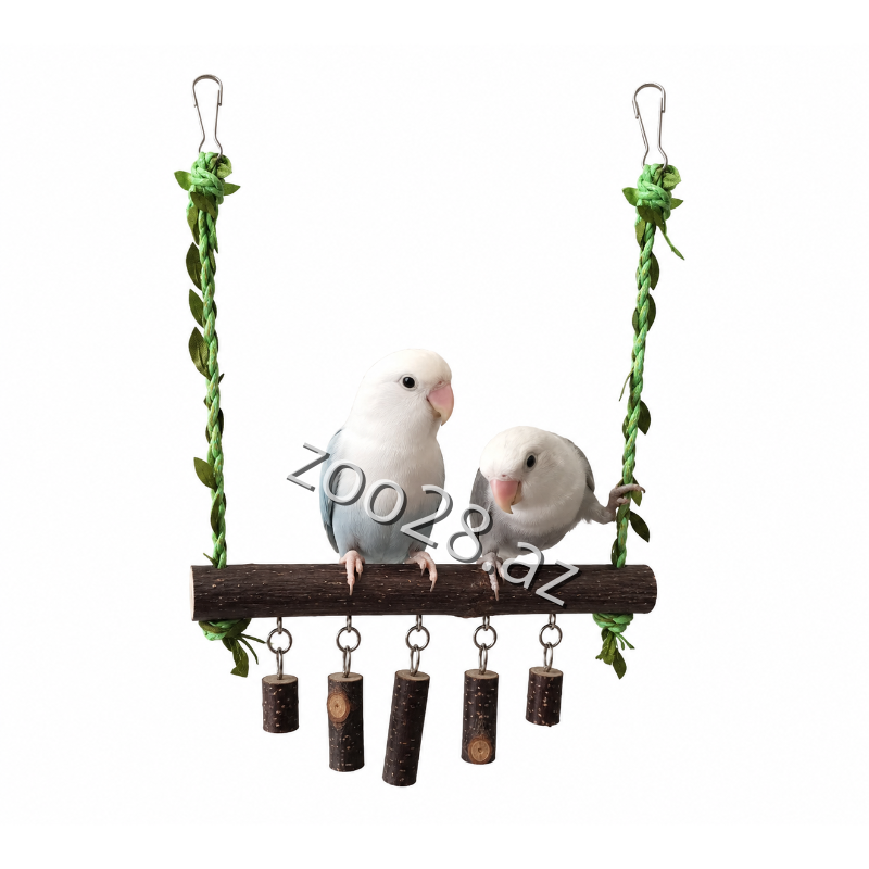 Yarpaqlı Yelləncək, 27x18 sm - Quşlar | Zoo28.az