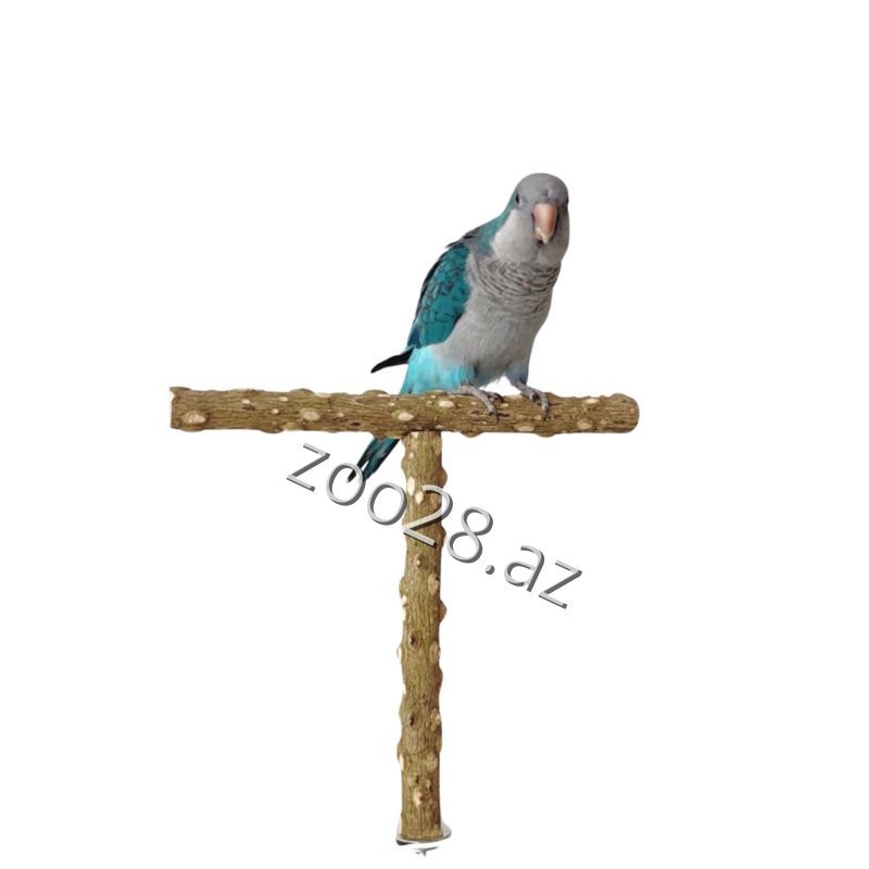 Quşlar Üçün Asma Dayaq Tünək, S ölçü - Quşlar | Zoo28.az