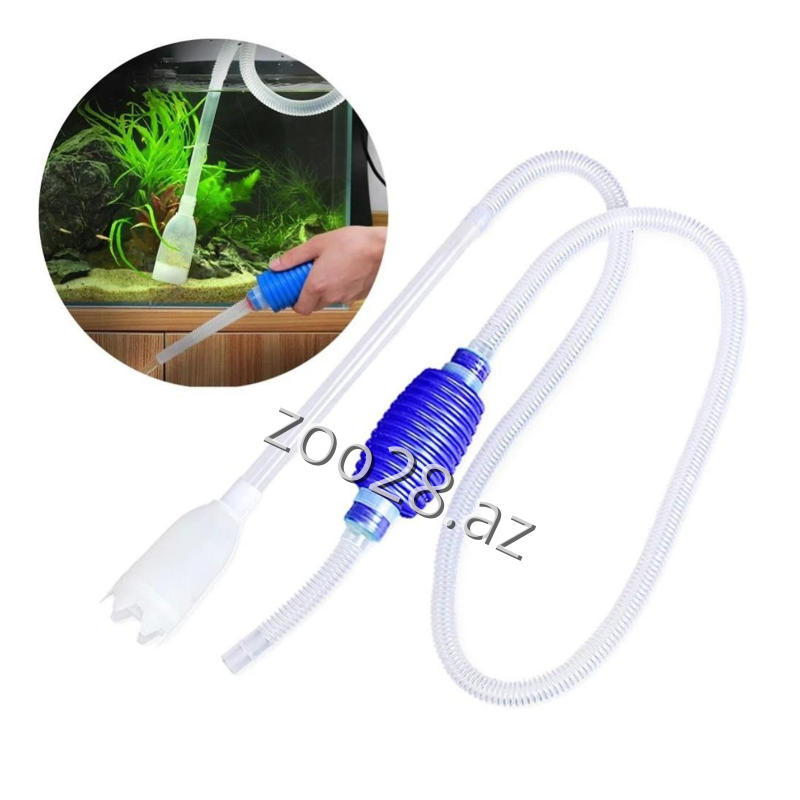 Akvarium Sifonu - Balıqlar | Zoo28.az