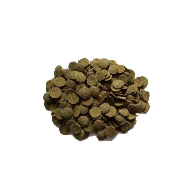 Algae Wafers 45 qr - Balıqlar - Şəkil 2